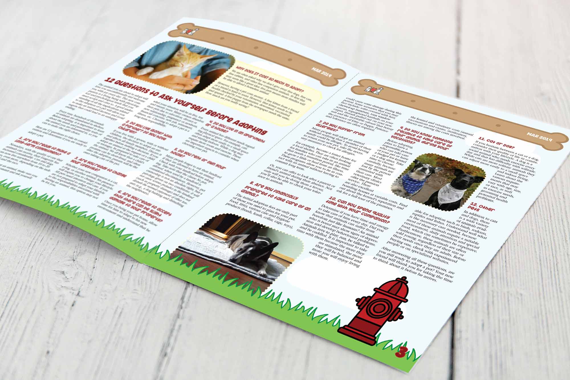 This is a mockup image of the adoption newsletter. It is laying flat, angled to show in inner spreads. The image has a light background, and page 3 is in focus.
