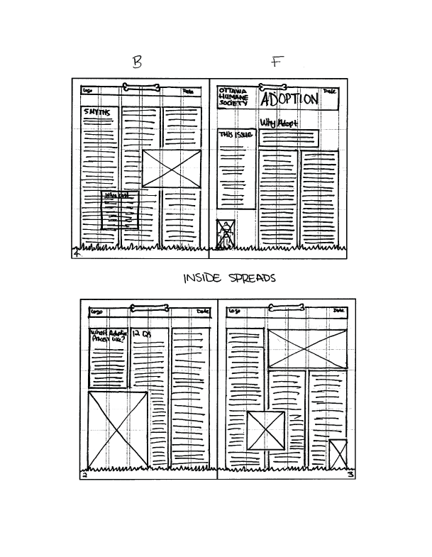 This is an image of my progress sketches for the adoption newsletter. This is the first rough idea for the layout design.
