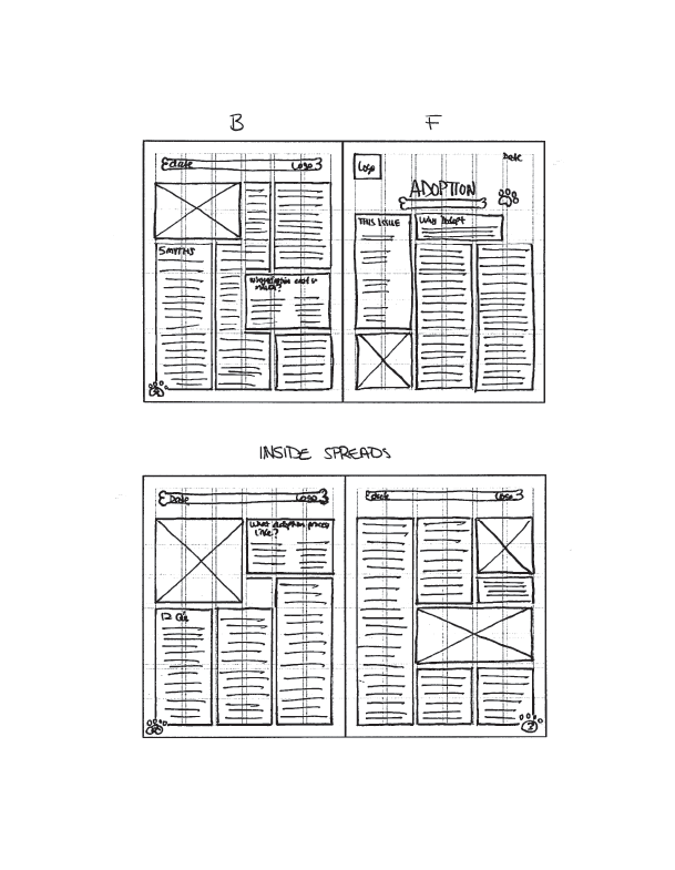 This is an image of my progress sketches for the adoption newsletter. This is the second rough idea for the layout design.
